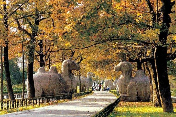 Nanjing Private Tour to Xiaoling Tomb and Linggu Temple with Tangshan Hot Spring