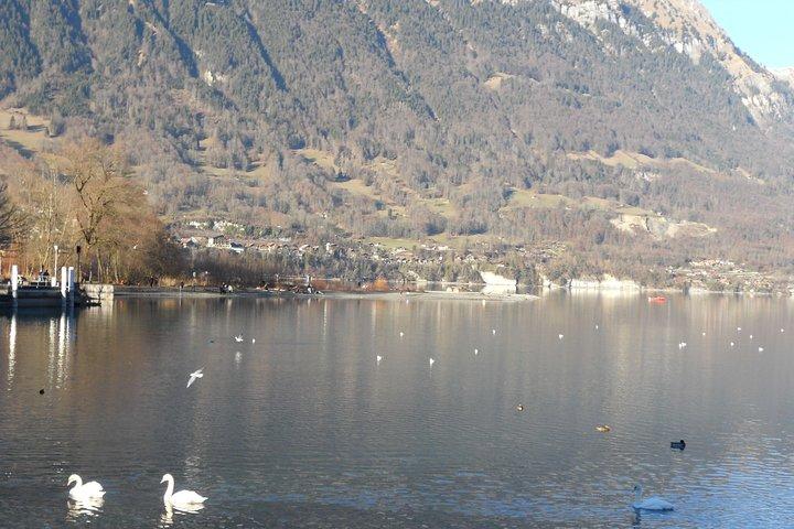 Interlaken Private Tour: Mountains Cows, Thun Lake, and Brienz Lake