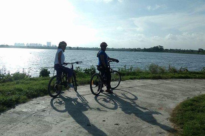 Cycle the Kolkata Wetlands and Amazing Views