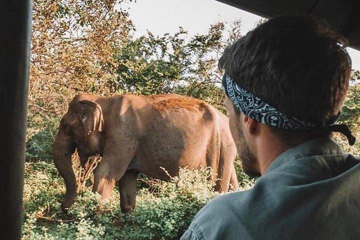 2 Days Tour to Udawalawe & Yala National Park From Colombo