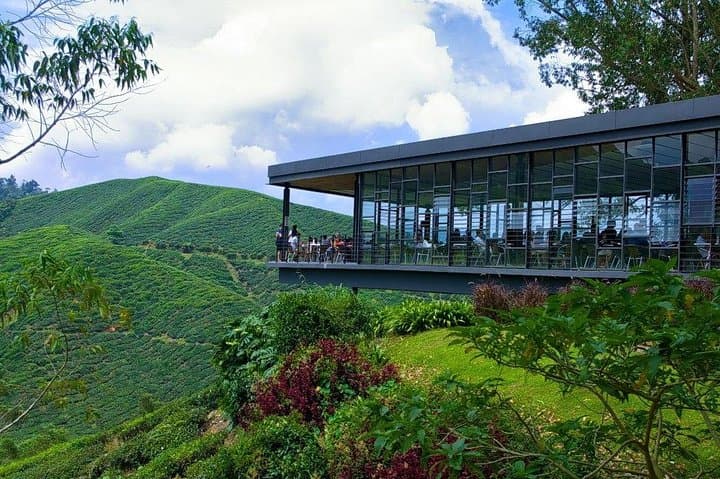 Full Day Cameron Highlands Adventure From Kuala Lumpur