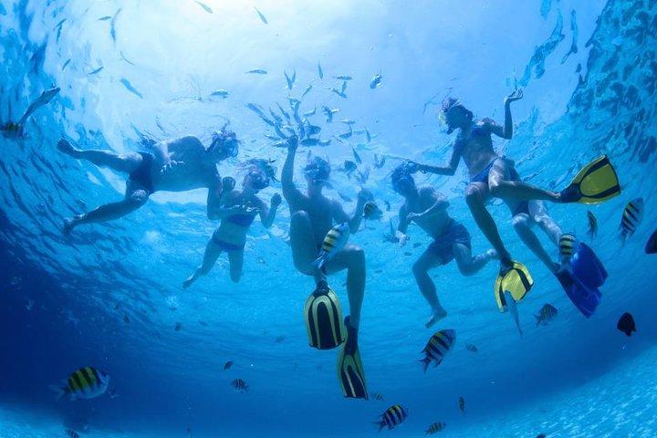 West Maui Half Day Snorkel from Ka’anapali Beach