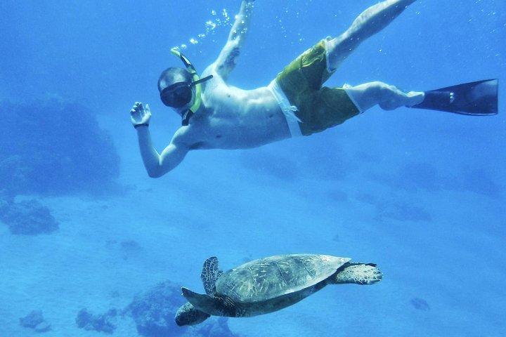 West Maui Half Day Snorkel from Ka’anapali Beach