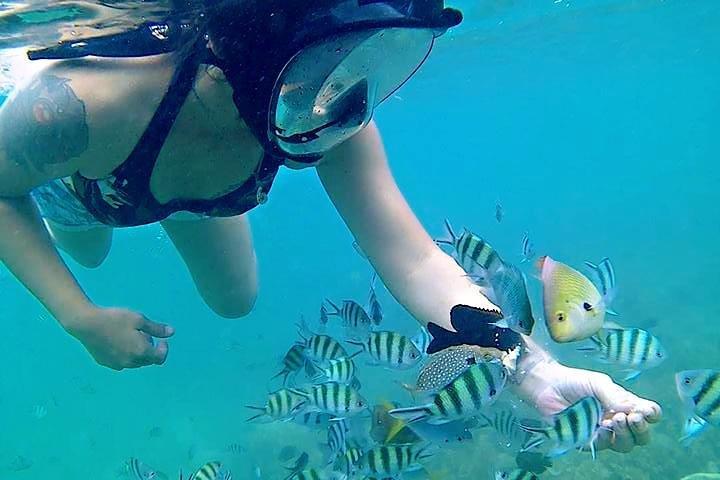Bintan Snorkeling Tour