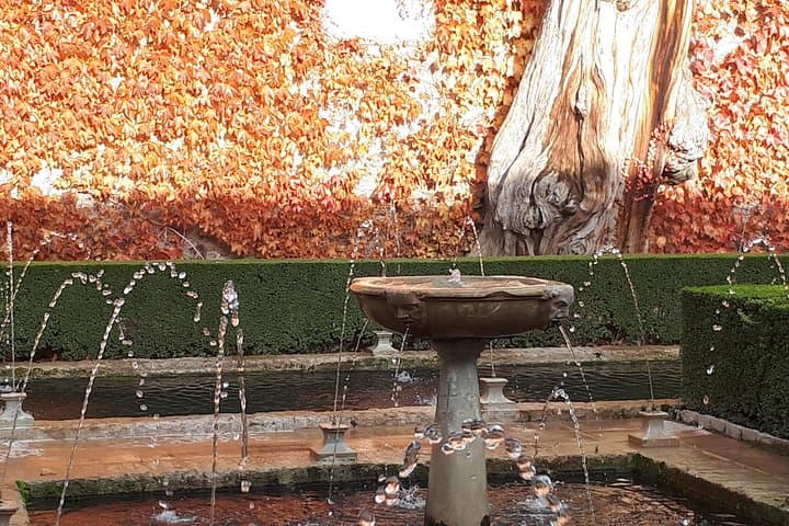 Alhambra Tour :Generalife Palace,Gardens and towers.Skiptheline