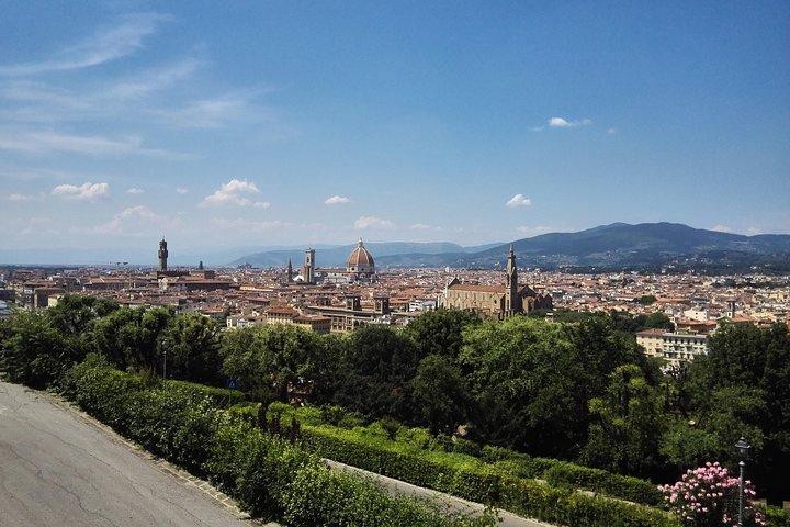 Best Of Tuscany In 1 Day: Pisa, Lucca And Florence - Private Tour From Livorno