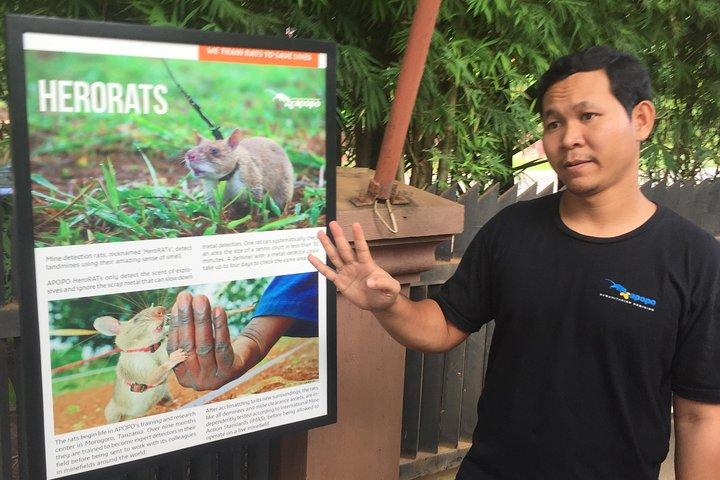 Private Tour: HERO Rats & Angkor National Museum