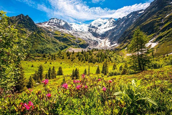 Chamonix and Mont Blanc Private Day Trip from Geneva