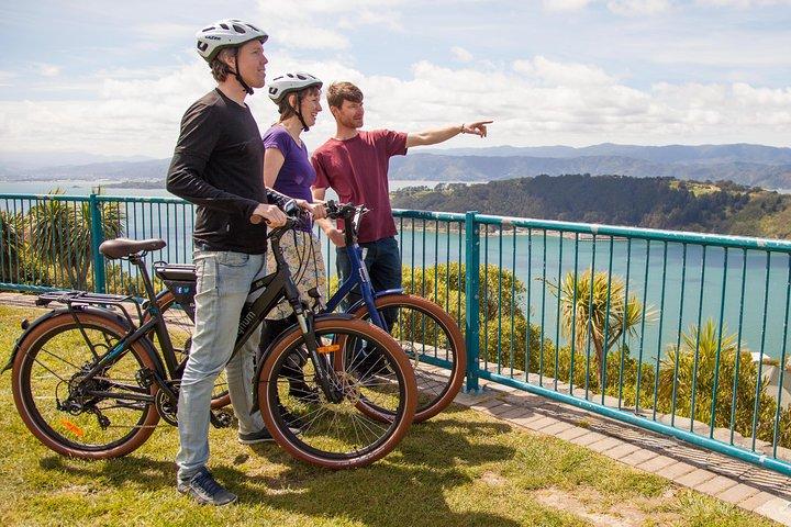 Guided Wellington Tour by Electric Bike