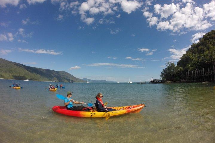 Kayak Turtle Tour from Palm Cove