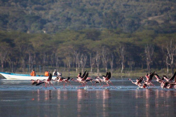 Day Tour to Mount Longonot Park from Nairobi