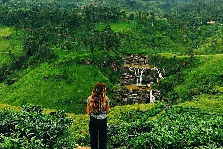 Arrival Transfer : Airport to Nuwara Eliya