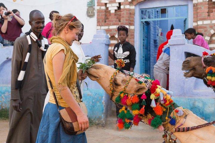 Nubian Village Excursion from Aswan