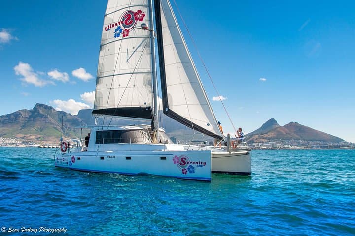 Champagne Cruise (Pre-Sunset) from Cape Town