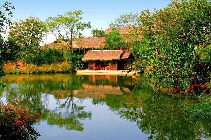Half-Day Hangzhou Xixi Wetland Park Private Tour with Boat Ride