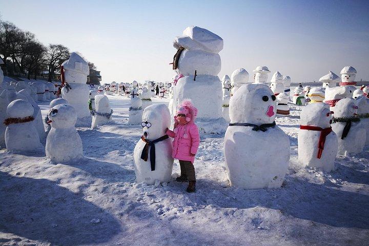 4-Day Private Harbin Tour Combo Package of Winter Highlights with Meal Options