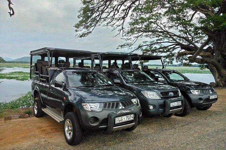 Day Excursion to Udawalawe from Colombo