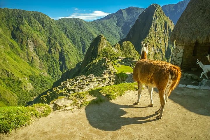 Travel Tour to machu picchu Full Day