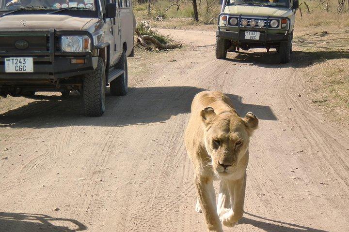4 Days Lake Manyara, Ngorongoro and Tarangire National Park