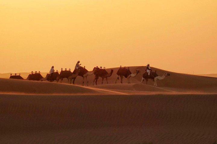 Dubai 6-Hour Desert Safari Tour With Private Car