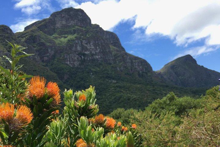 Kirstenbosch Gardens: An Audio Tour by Botany Expert