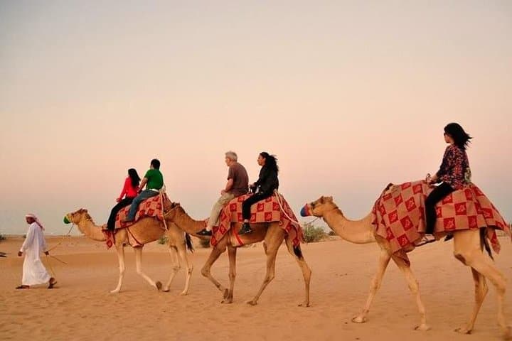 Dubai Desert Safari with Camel Riding and Belly Dance