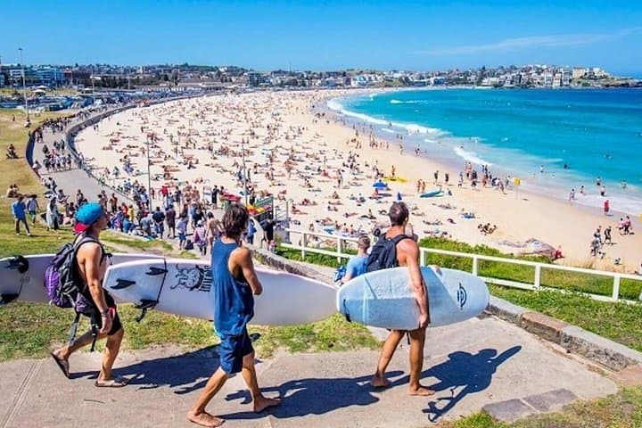 Half-Day or Full-Day Private Guide Hire From Sydney