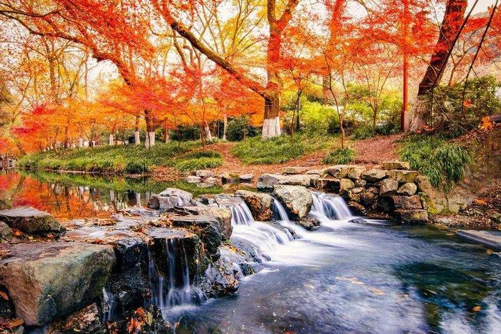 Hangzhou Jiuxi and Hupao Spring Hiking Day Trip from Shanghai by Bullet Train