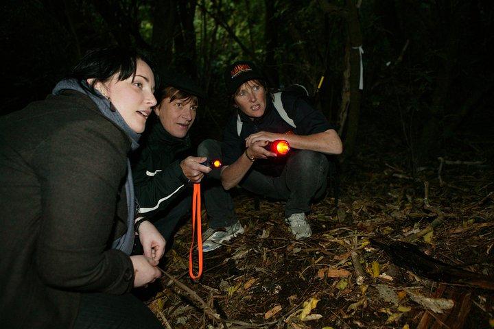 Zealandia Small Group Eco Wildlife Night Tour