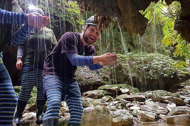 Waitomo’s Hidden Gem: Off the Beaten Track Glowworm Cave Tour
