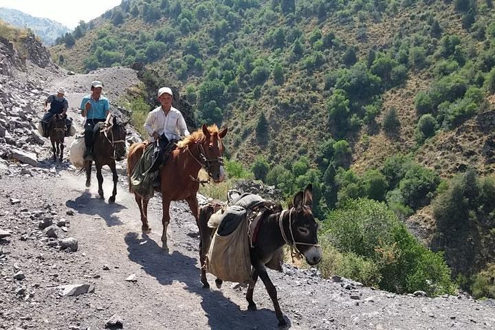 3-Day Chimgan Trekking Tour