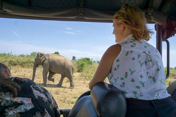 Udawalawe National park with Elephant Transit Home From Colombo