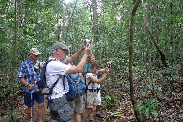 From Galle: Guided Nature Trail to Kanneliya Forest