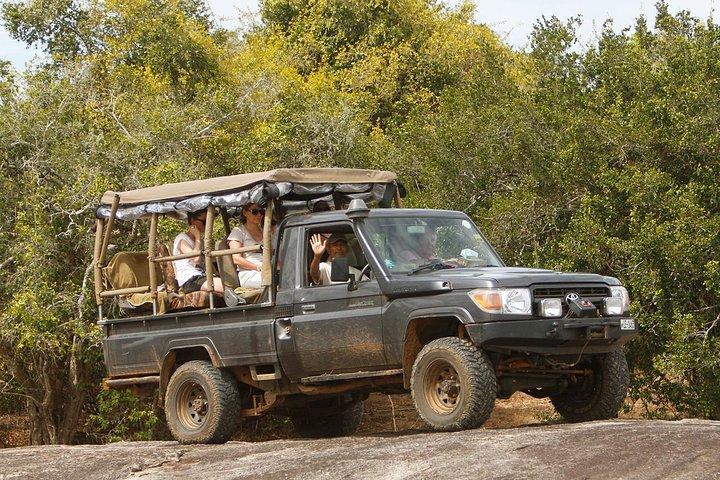 3-Day Jungle Safari Experience in Yala National Park