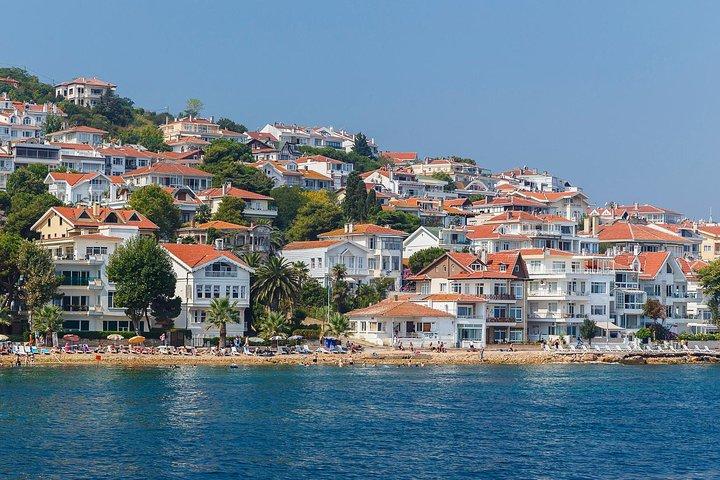 Daily Princes' Island Tour in Istanbul