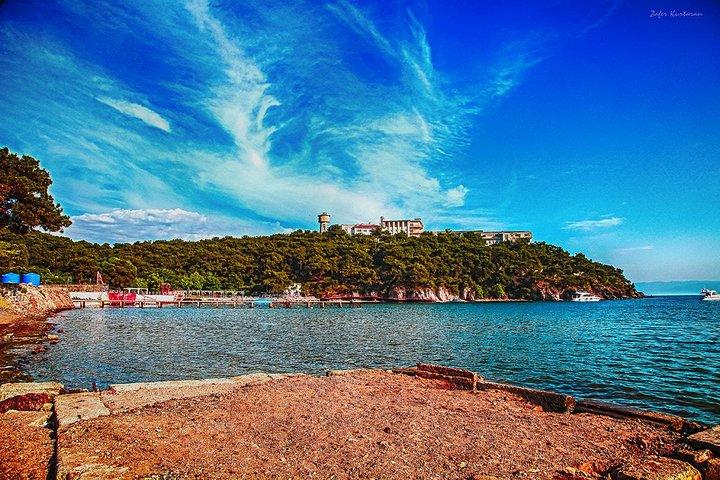 Daily Princes' Island Tour in Istanbul