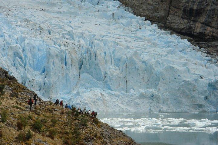 Balmaceda and Serrano Glaciers Sightseeing Cruise from Puerto Natales
