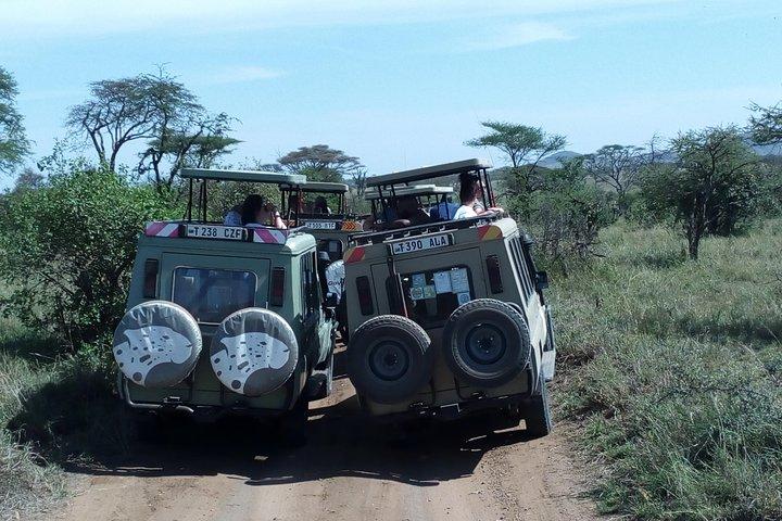 Mikumi national park full day tour
