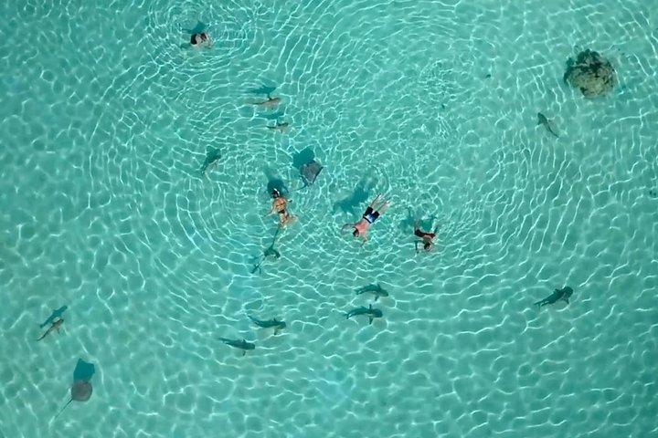 PRIVATE Half Day Tour : Moorea Snorkeling & Sailing on a Catamaran named Taboo