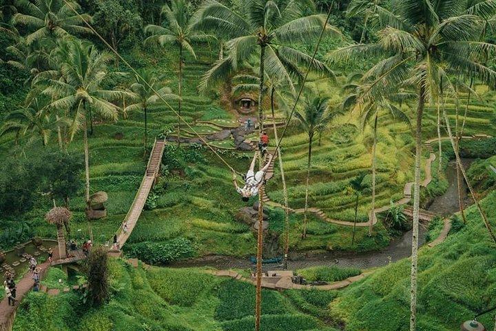 All inclusive Private 3 day tours package : Bali highlights