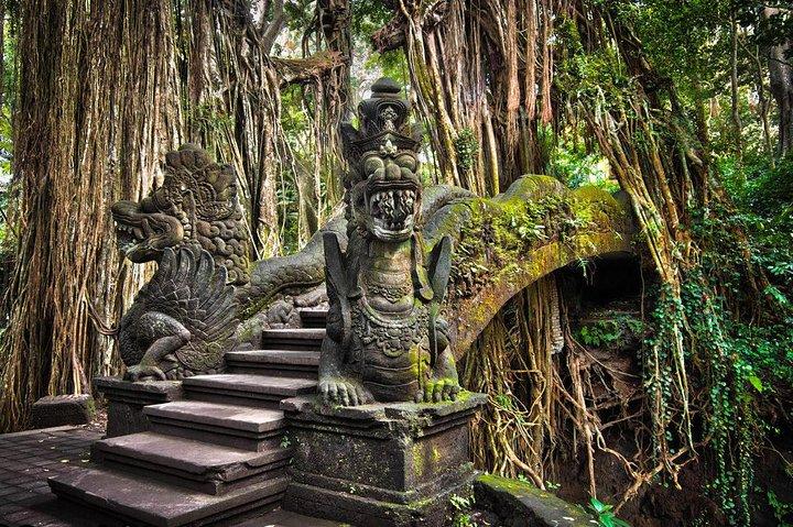 Ubud Private Tour - All Inclusive Premium Experience