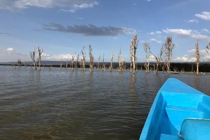 7 Day Maasai Mara, Lake Nakuru, Lake Naivasha and Amboseli Safari