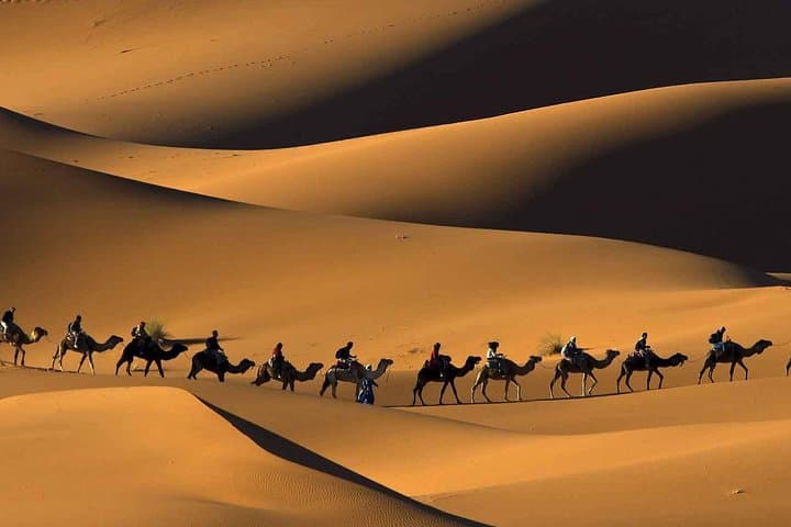 Merzouga desert tour from Marrakech & camel ride