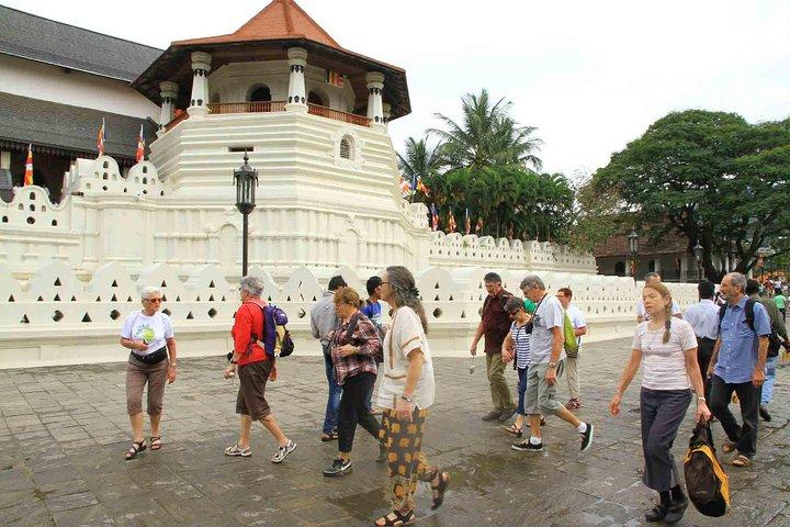 Exclusive: Last Kingdom Private Day Tour in Kandy