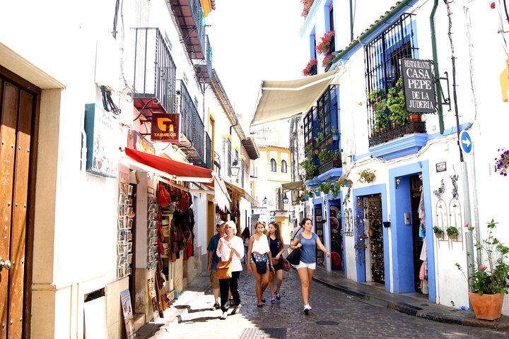 Full-Day Cordoba Tour from Granada: Mezquita Visit Included