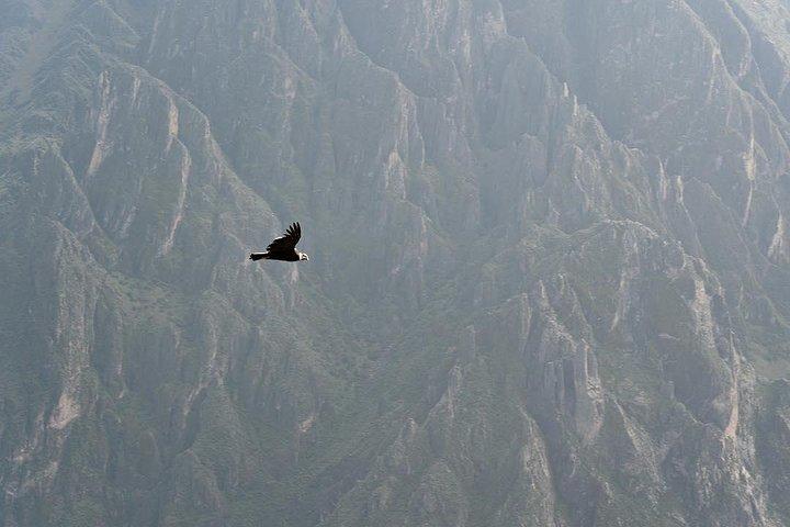 Full Day trip from Arequipa to Colca Canyon ending in Puno
