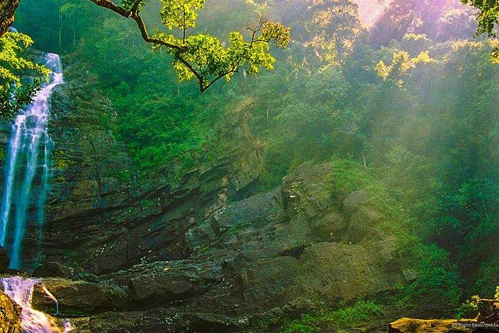 3 Days - Different discovery private wildlife tour