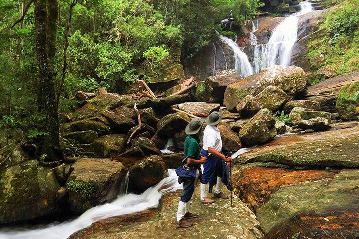 3 Days - Different discovery private wildlife tour