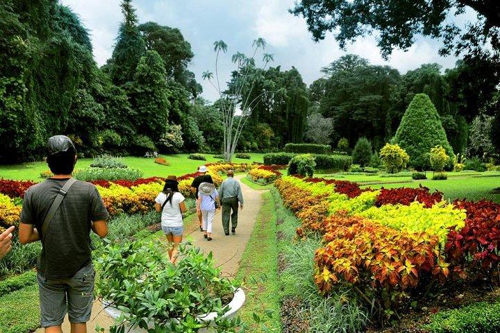 Private Custom Kandy Day Tour from Bentota & Beruwala