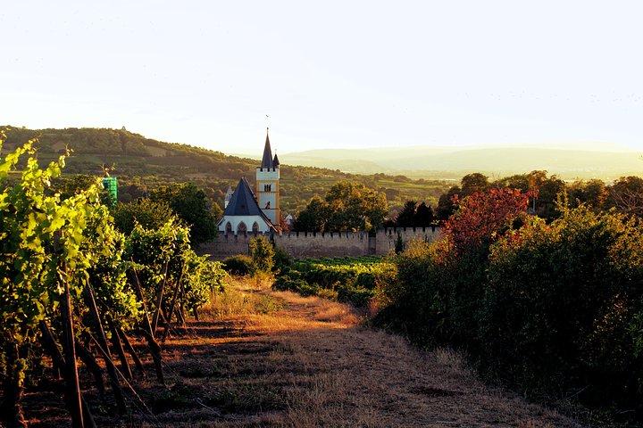 Rhine Valley Wine Tasting Tour from Frankfurt and Mainz